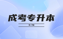 2024廣東成人高考專升本畢業后就業前景如何?